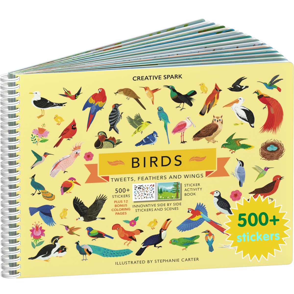 Birds sticker book cover on a white background