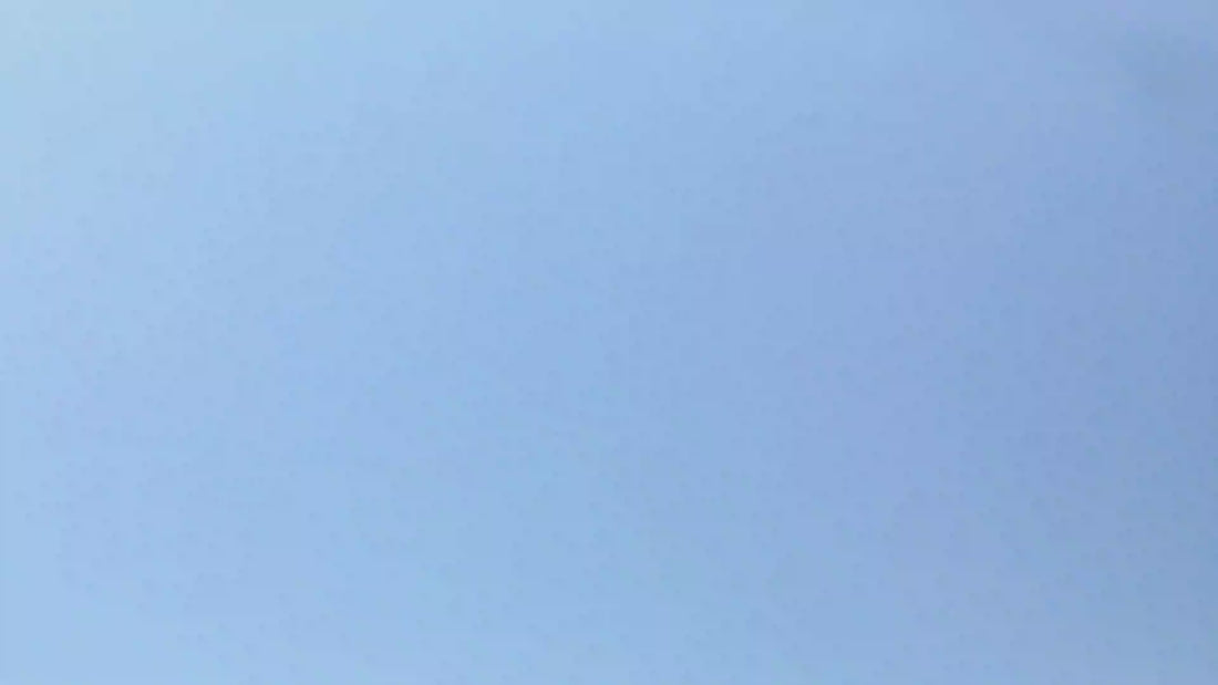 Cute Foods Around the World Sticker Book Preview