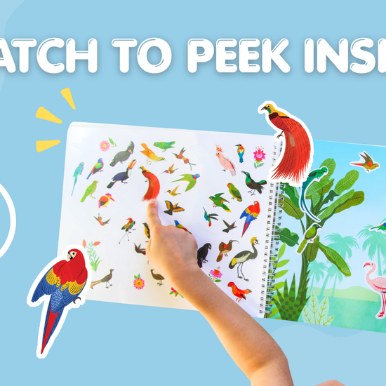 Birds Sticker Book Preview
