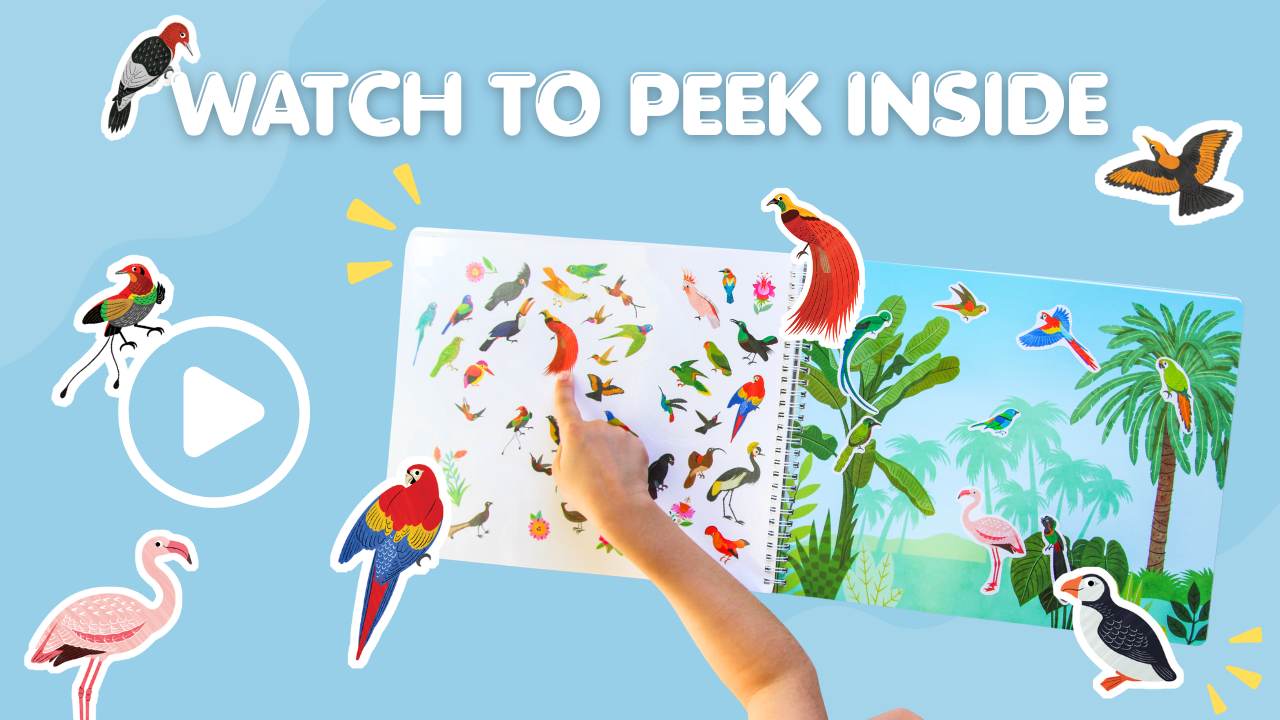 Birds Sticker Book Preview