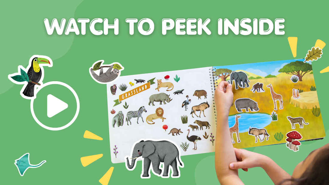 Animal Habitats Sticker Book Preview