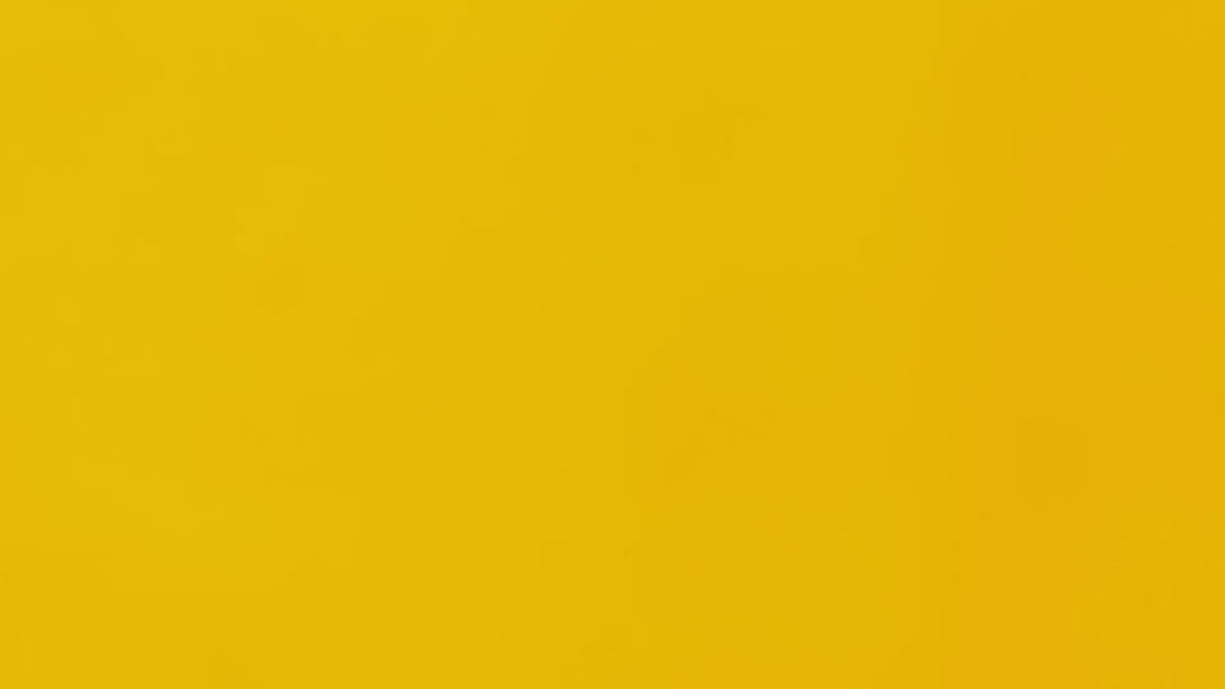 Fairies Sticker Book Preview