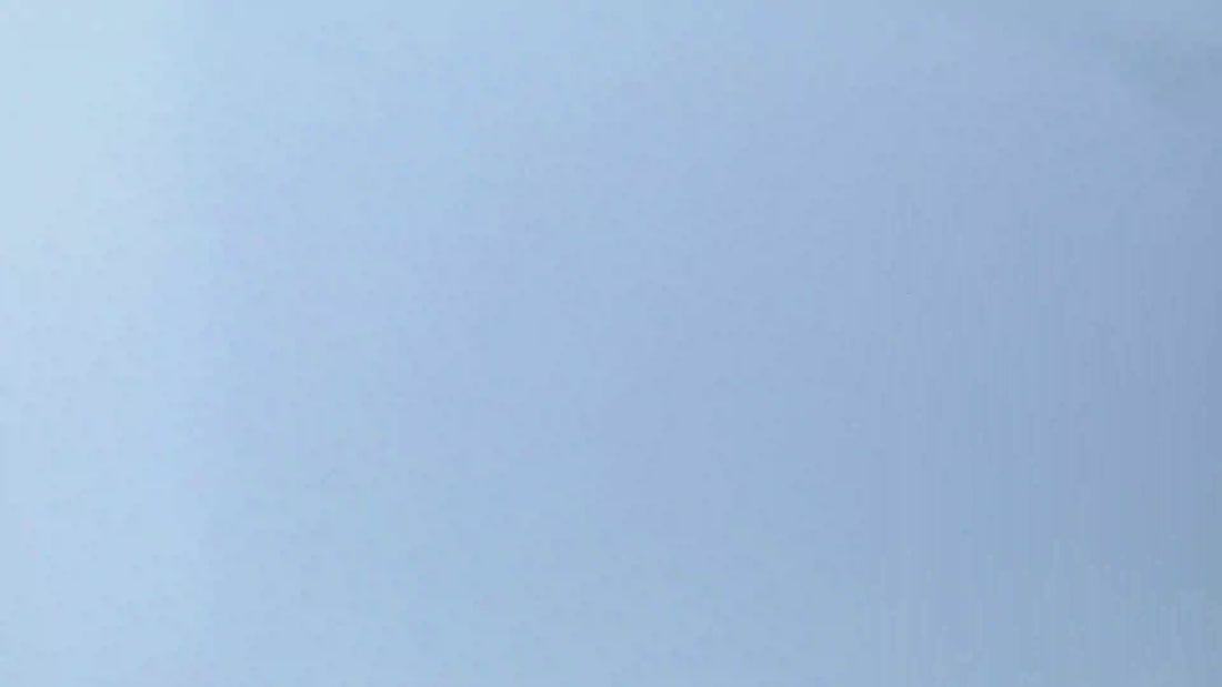 Deep Blue Sea Sticker Book Preview